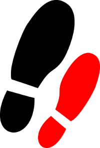 Welcome to the&nbsp;Platform